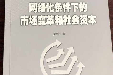 如何利用网络创意促进社会变革