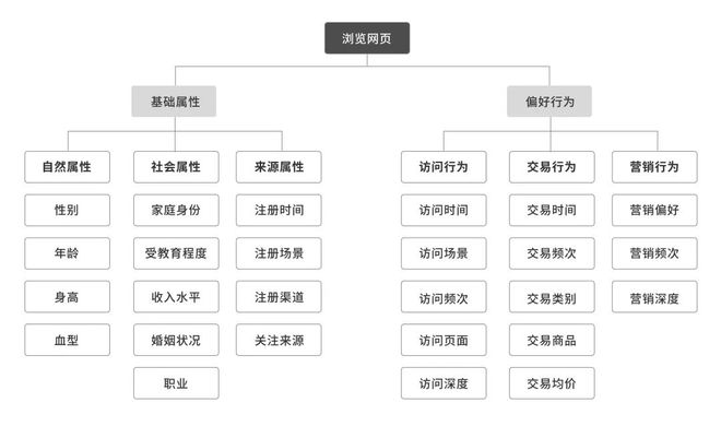 如何建立信息体系的用户画像